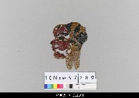 藏品(中國湖北皮影戲偶頭-淨)的圖片